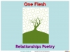 One Flesh (Jennings) Teaching Resources (slide 1/37)